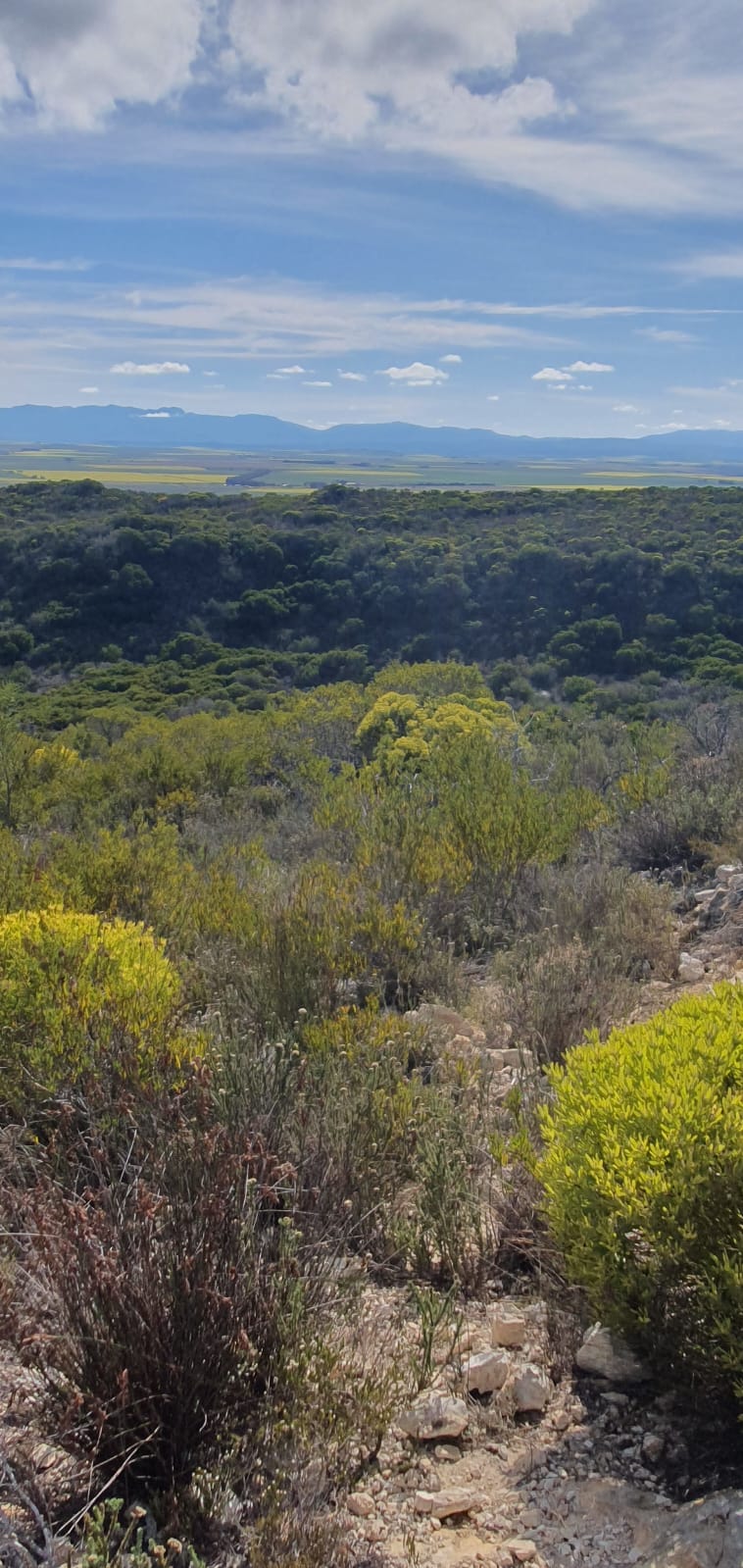  Bedroom Property for Sale in Riversdale Rural Western Cape